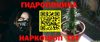 сатива Конаково