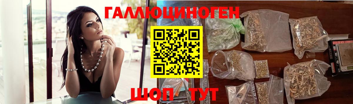 Галлюциногенные грибы GOLDEN TEACHER Кисловодск